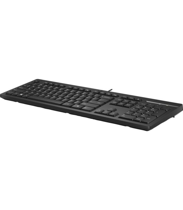 clavier-filaire-hp-125-francaisarabe-266c9aa-15 Clavier filaire HP 125 Français-Arabe (266C9AA-ABF)