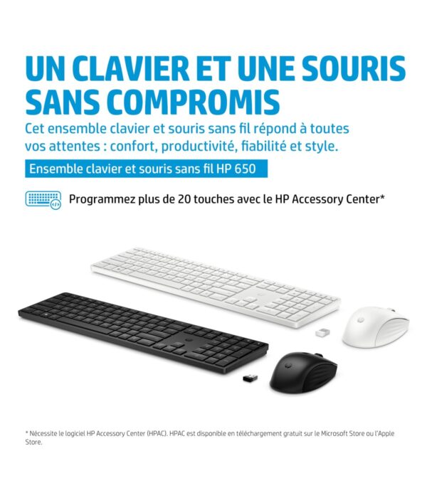 Clavier et souris sans fil 650 (4R013AA)