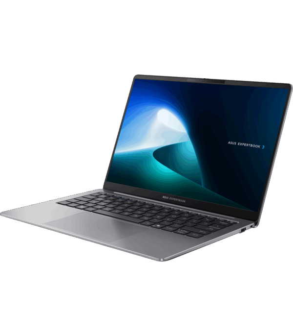 Ordinateur portable Asus ExpertBook P5 (P5405CSA-NZ0412X) (90NX0861-M00J10)