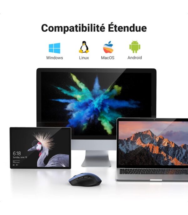 souris-sans-fil-ugreen-design-ergonomique-24-blue-15064-14 Souris sans fil Ugreen Design Ergonomique 2.4 - Blue (15064)