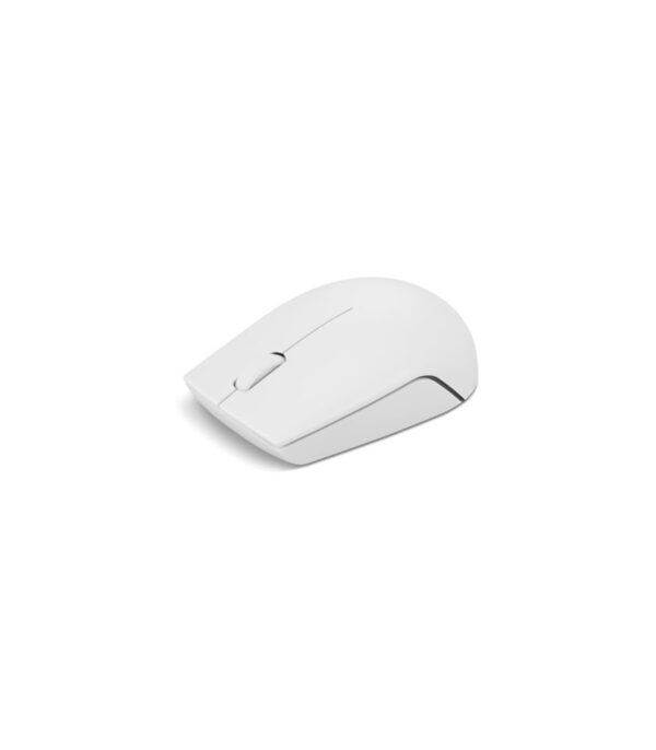 Souris sans fil USB Lenovo 300 compact (GY51L15677)