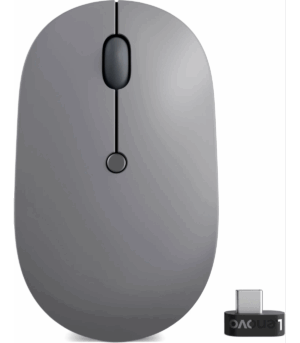 Souris sans fil USB-C Lenovo Go (4Y51C21216)